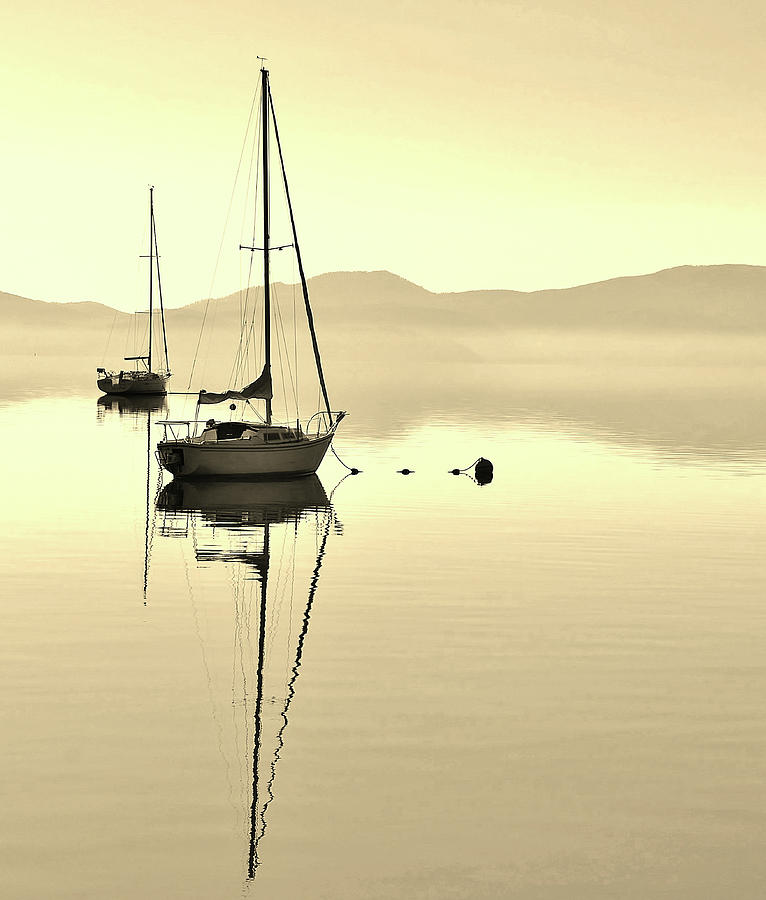 Morning Sail Photograph by Marilyn MacCrakin