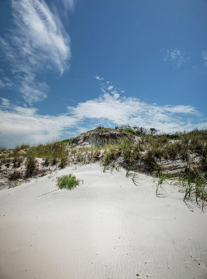 Morning Sand Dune Landscape Florida Photograph by Dan Sproul