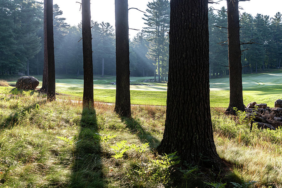 Morning Shadows at the Golf Course Photograph by Robert Carter