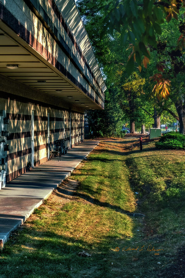 Morning Shadows Photograph by Ed Peterson Morning Shadows Photograph by Ed Peterson