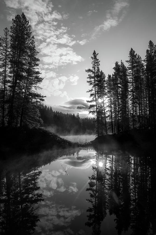 Morning Silhouettes Reflection Photograph by Dan Sproul