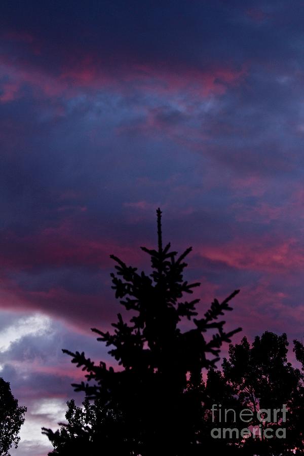 Morning Sky Photograph by Ann E Robson