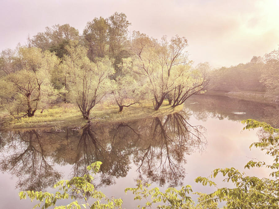 Morning Soft Reflections on the River Photograph by Debra and Dave Vanderlaan