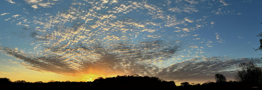 Morning Sun 08MAR23 Photograph by Greg Joens