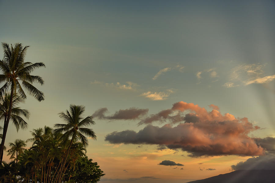 Morning Sun-rays On Maui Photograph