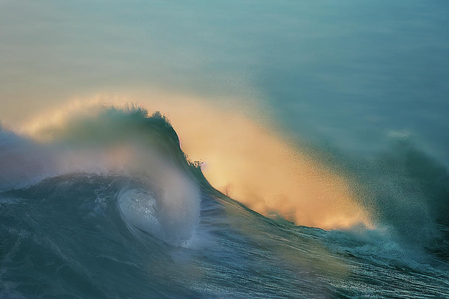 Morning Sun Wave Photograph by Bill Posner