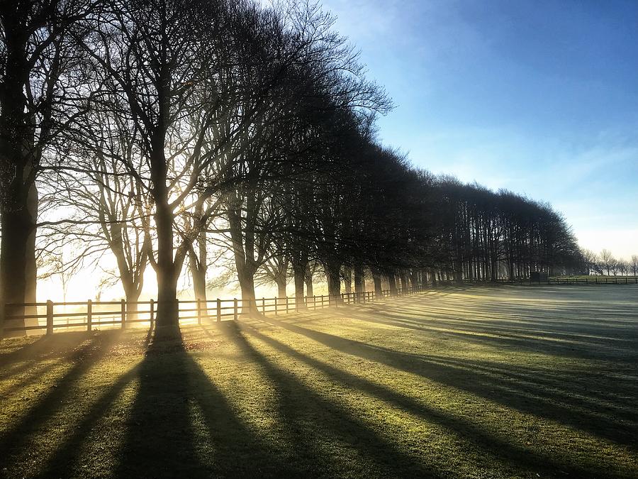 Morning sun with trees and mist Photograph by Chris Clark
