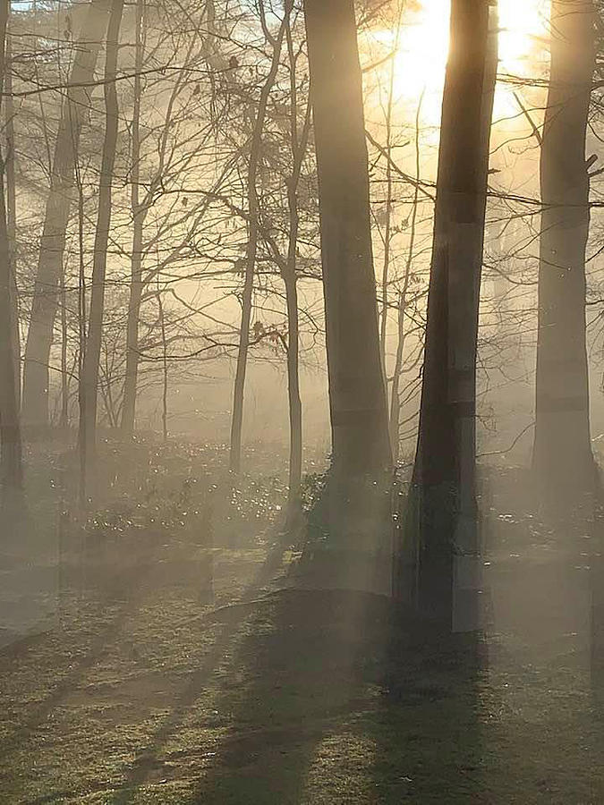 Morning Sunrise and Fog  Photograph by Betty Pauwels