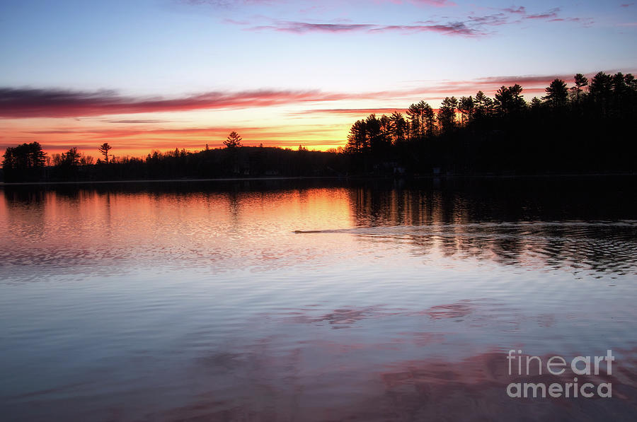 Morning Swim - Wollaston Lake - Ontario Photograph by Spencer Bush