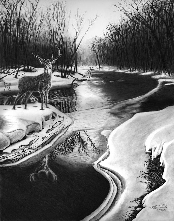 Deer Drawing - Morning Thaw by Peter Piatt