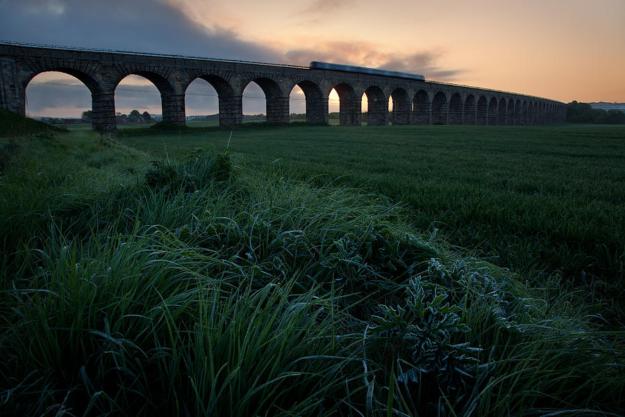 Morning train going over Broxburn Viaduct Photograph by Billy Currie Photography