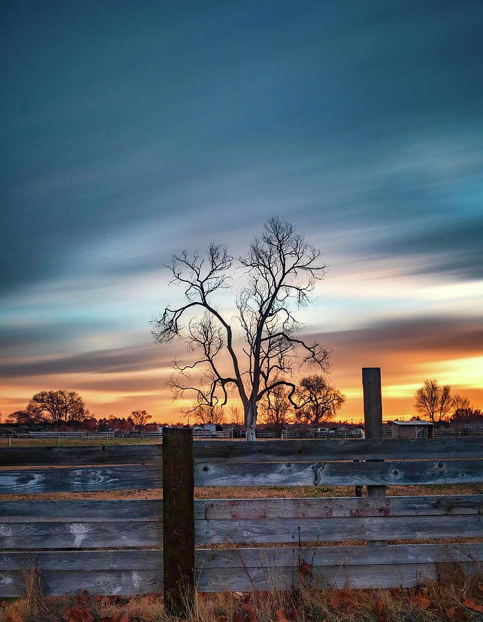 Morning Tree Long Exposure by Harold Carlson Morning Tree Long Exposure by Harold Carlson