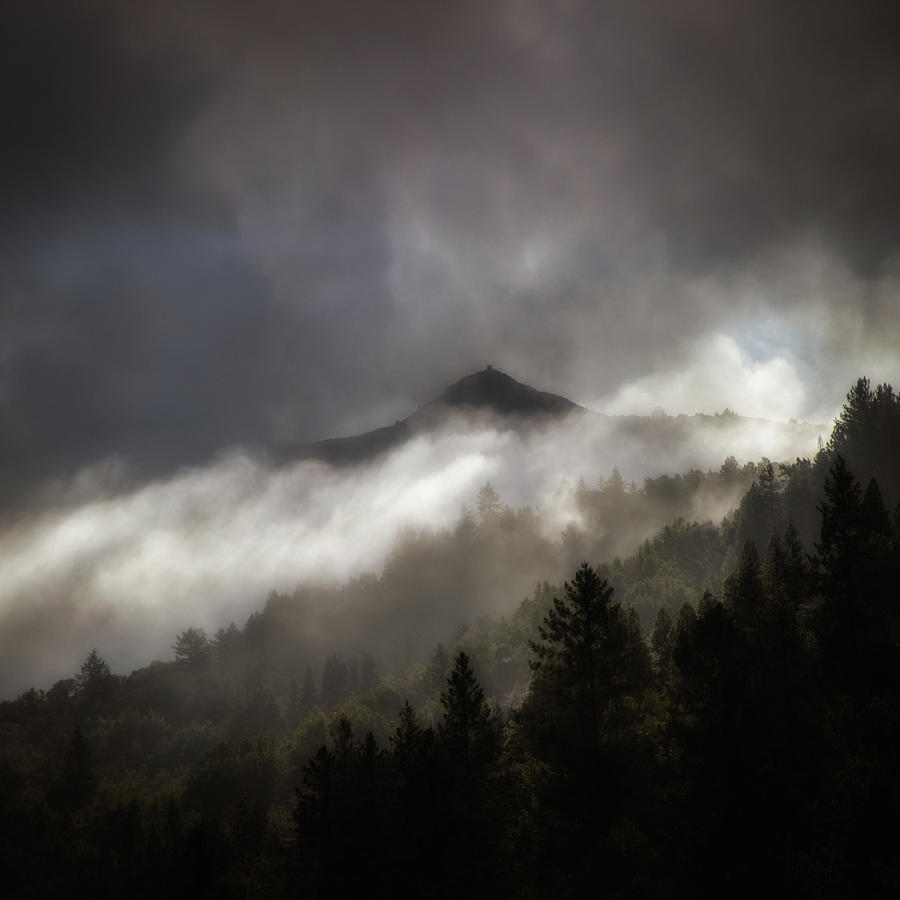 Morning veil of fog Photograph by Donald Kinney