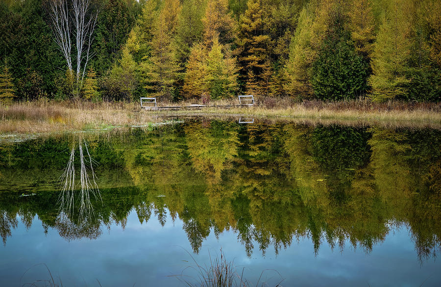 Morning View Photograph by David Heilman