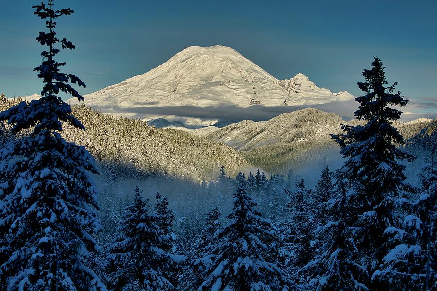 Morning View of Mount Rainier Photograph by Lynn Hopwood