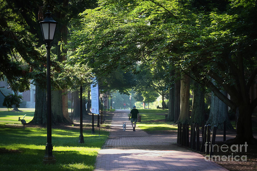 Morning Walk on Davidson College Campus  Photograph by Amy Dundon