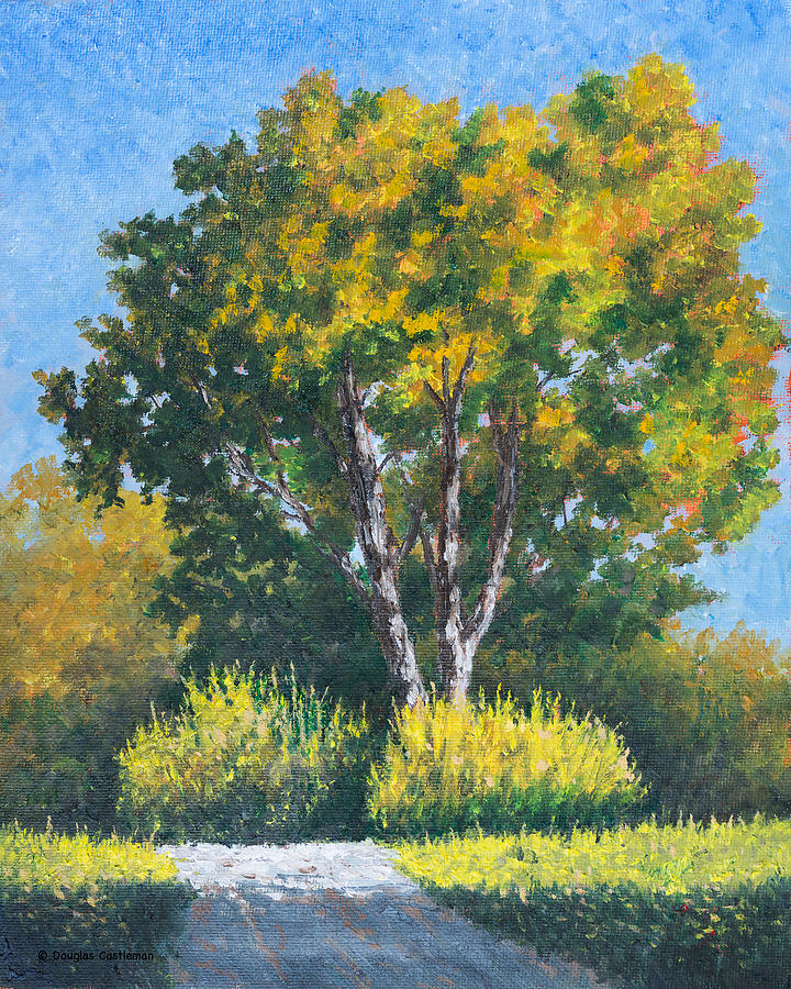 Morning Walking Trail Painting by Douglas Castleman