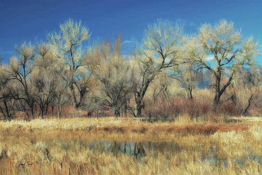 Stillness Digital Art - Morning_Marsh_20210328 by Joseph Liberti Stillness Digital Art - Morning_Marsh_20210328 by Joseph Liberti
