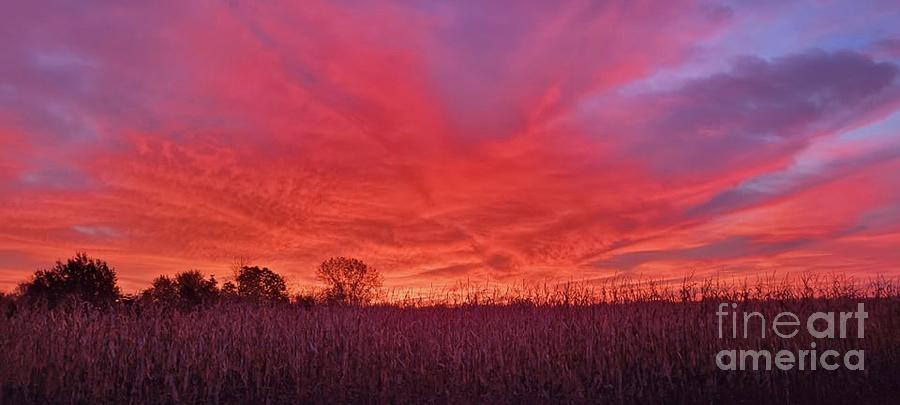 Mornings with Corn Photograph by Erick Schmidt