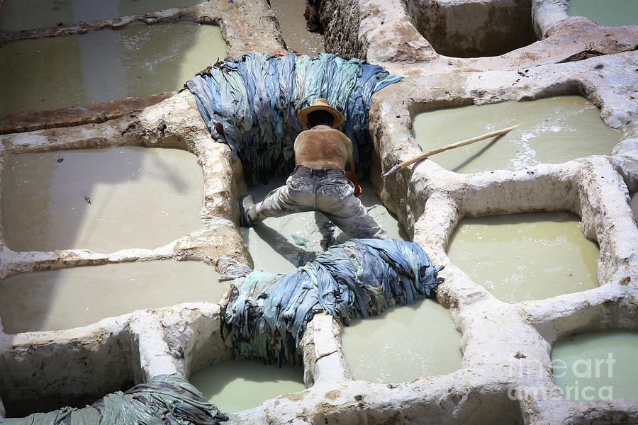 Moroccan Male Fes Leather Dyeing Pits Color  Photograph by Chuck Kuhn