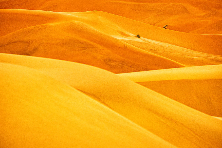 Morocco Sand Dunes Photograph by Stuart Litoff