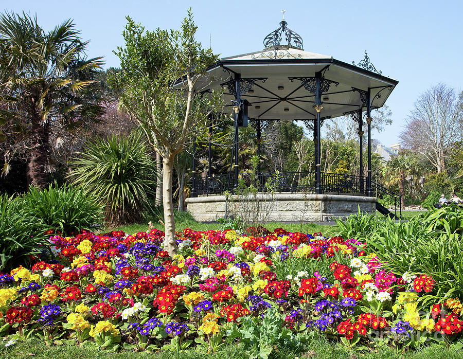 Morrab Gardens in Spring, Penzance, Cornwall. Photograph by Tony Mills
