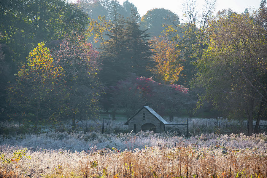 Morris Arboretum - Autumn  Photograph by Bill Cannon