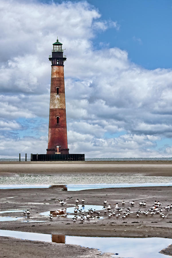Morris Island Lighthouse At Low Tide Marcia Colelli 