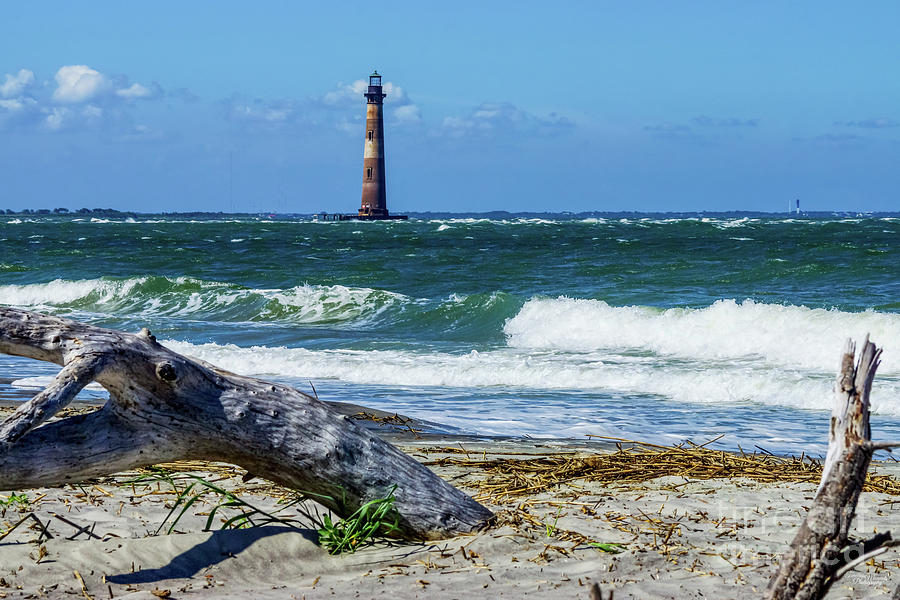 Morris Island Lighthouse Tree Remains Photograph by Jennifer White