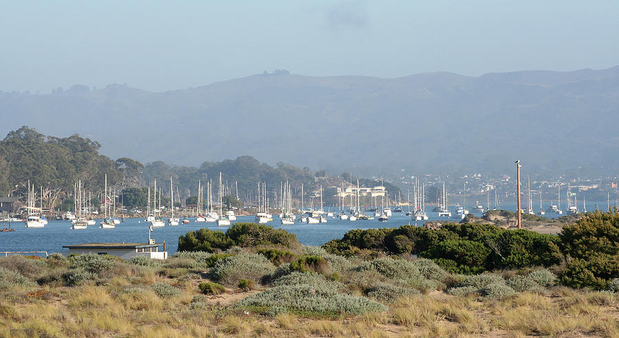 Morro Bay Afternoon Photograph by Michael Rock