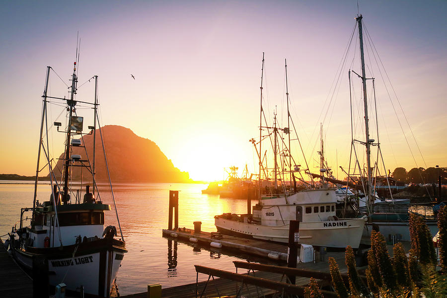 Morro Bay Boats Photograph by Dr Janine Williams