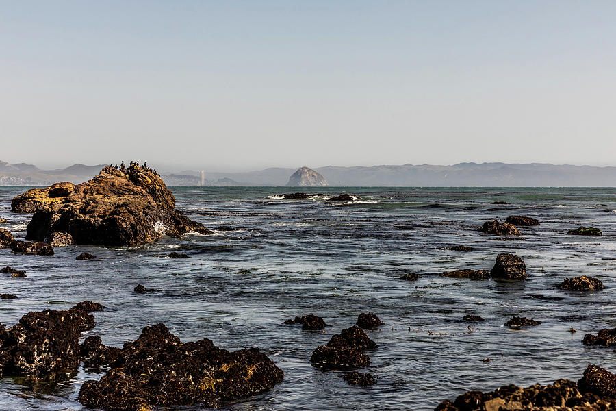 Morro Rock Photograph by David Kleeman