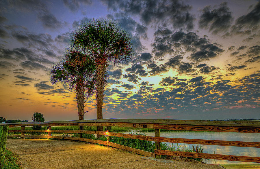 Morse Park Landing Just Before Sunrise Photograph By Tj Baccari - Fine 