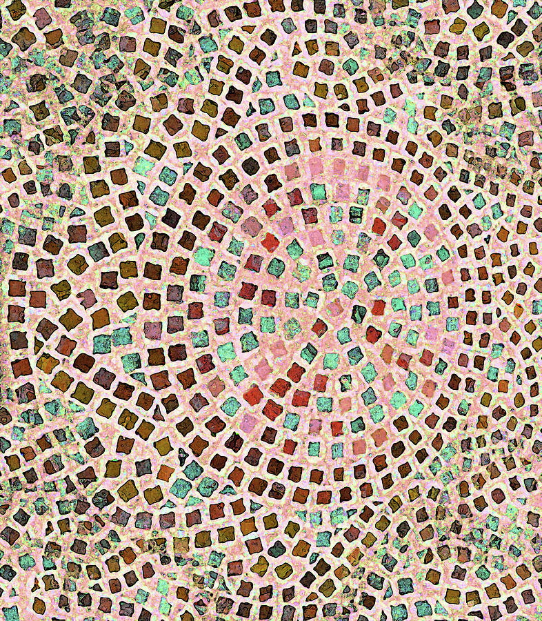 Mosaic 221 Photograph by Corinne Carroll