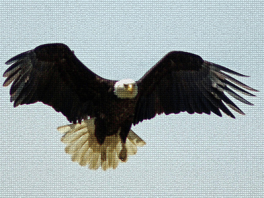 Mosaic Bald Eagle Digital Art by David Desautel