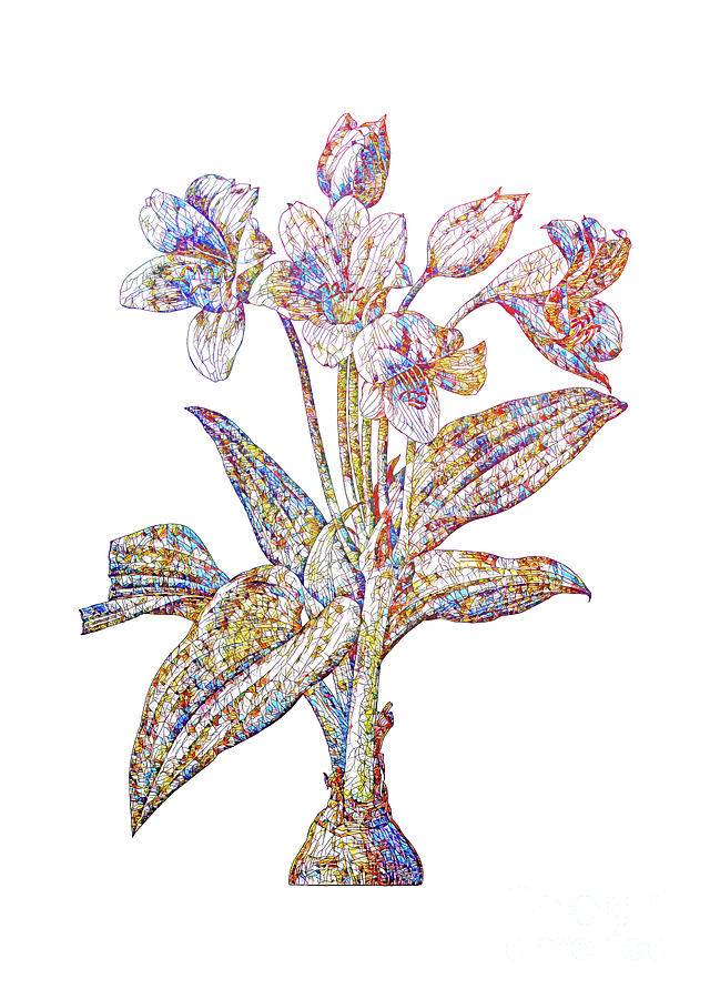 Mosaic Crinum Giganteum Botanical Art On White Mixed Media by Holy Rock Design
