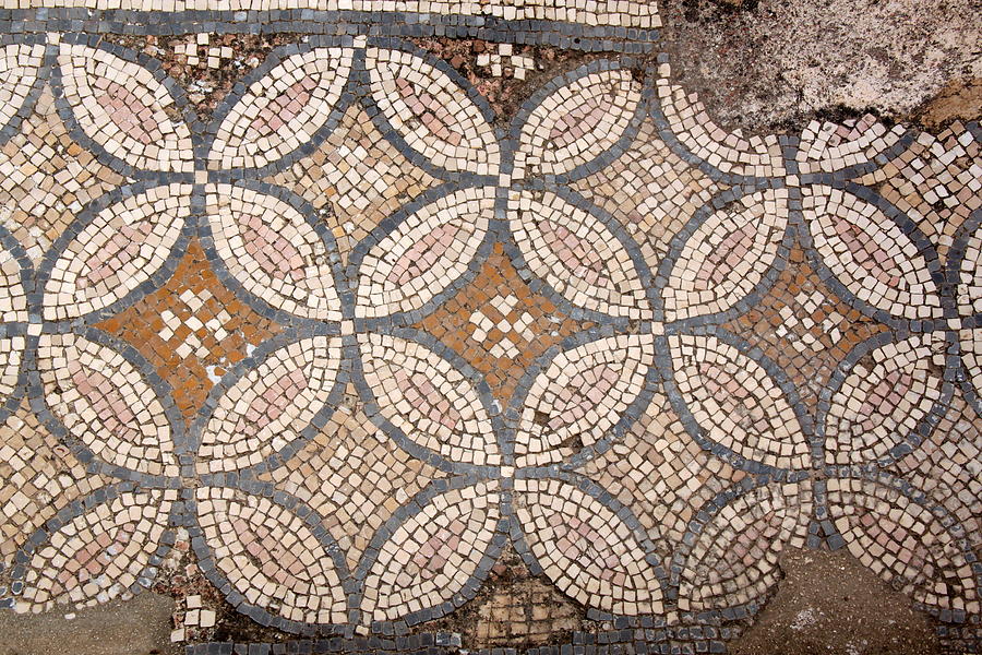 Mosaic floor Israel Photograph by Barb Gabay - Fine Art America