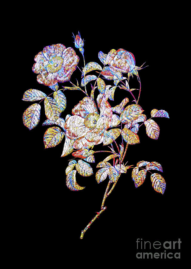 Mosaic Rose Of Love Bloom Botanical Art On Black Mixed Media by Holy Rock Design
