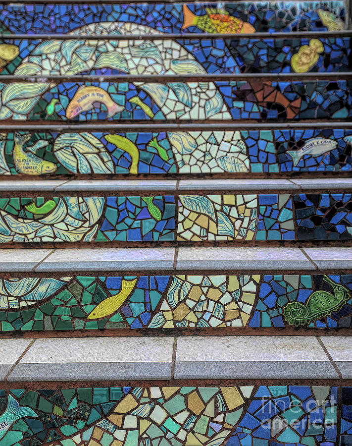 Mosaic Staircase Golden Gate Heights SF Photograph by Chuck Kuhn - Pixels