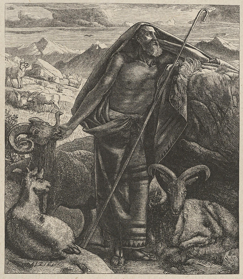Moses Keeping Jethros Sheep Drawing by After Edward John Poynte
