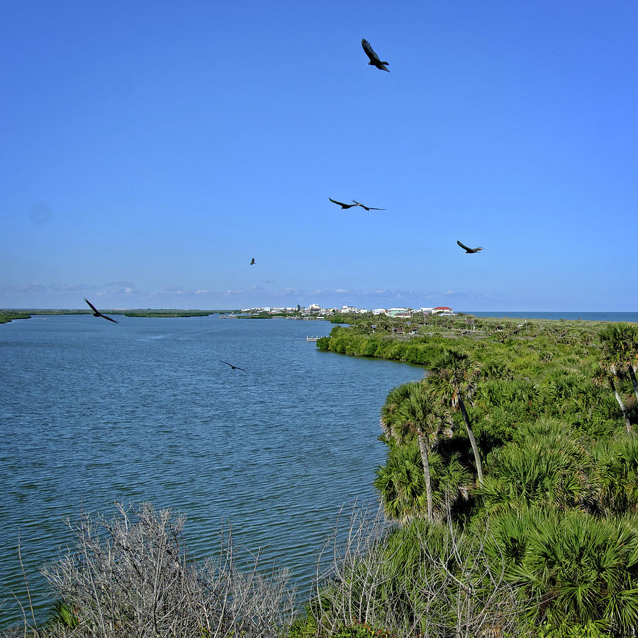 Mosquito Lagoon Photograph by George Taylor