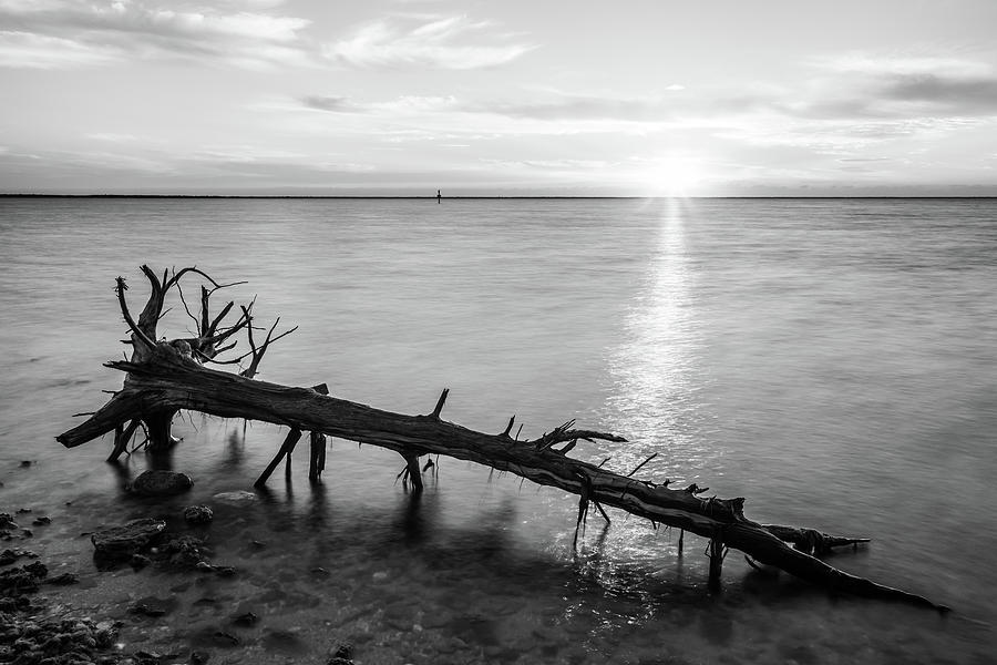 Mosquito Lagoon Sunrise Monochrome Photograph by Stefan Mazzola