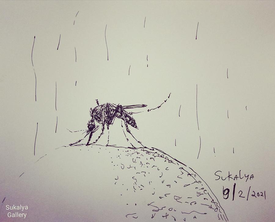 Mosquito Drawing by Sukalya Chearanantana