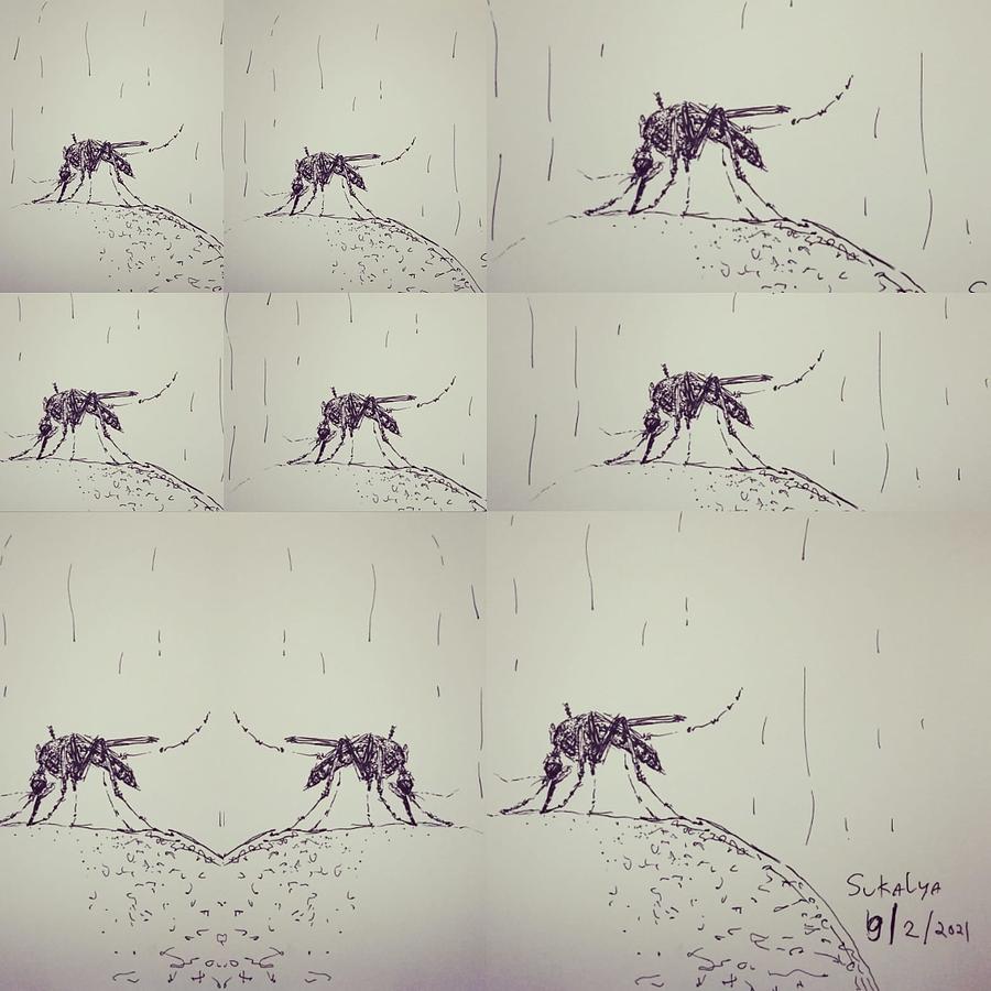 Mosquitoes Drawing by Sukalya Chearanantana