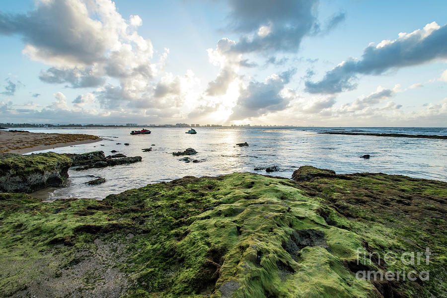 Moss Covered Lava Rocks at Sunset, Pinones, Puerto Rico Photograph by Beachtown Views