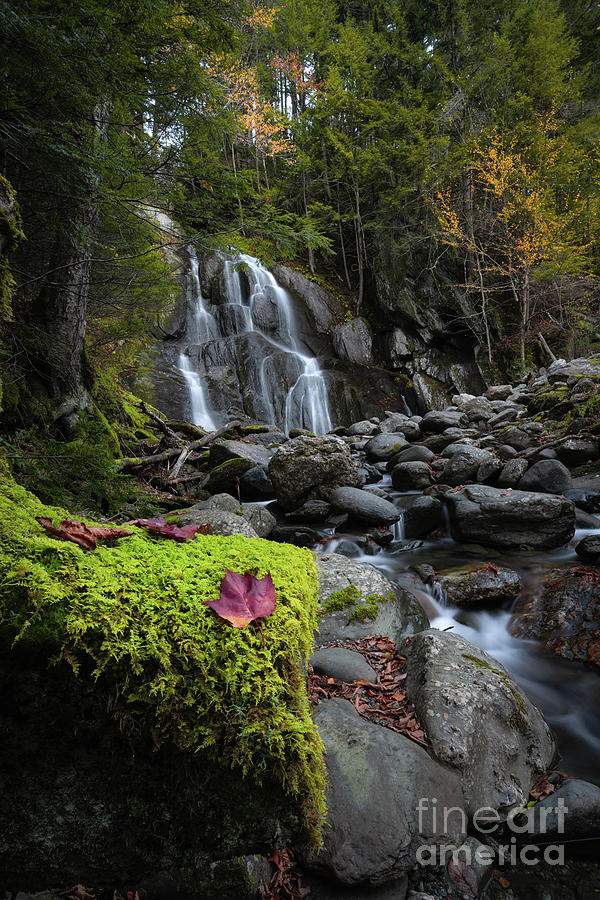 Moss Glen Falls in Vermont  Photograph by Michael Ver Sprill