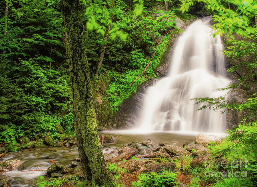 Moss Glen Waterfall Photograph by Michael McCormack