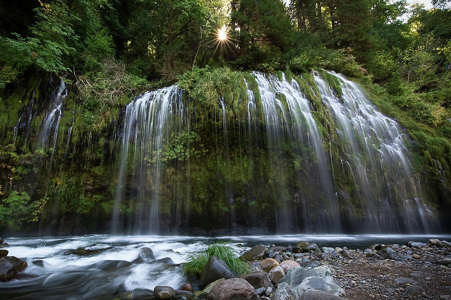 Nature Photograph - Mossbrae Falls by Steve Berkley
