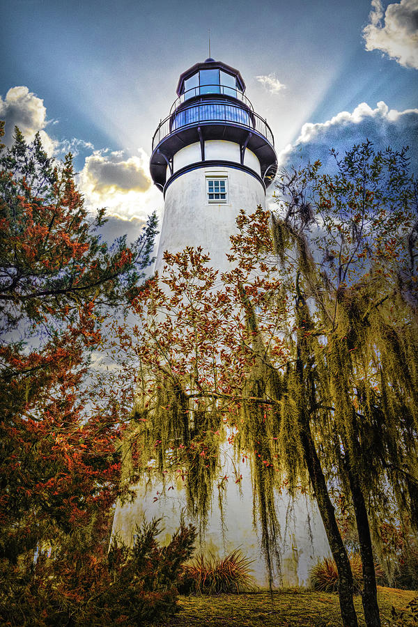 Mossy Autumn Trees at the Amelia Island Lighthouse Photograph by Debra and Dave Vanderlaan