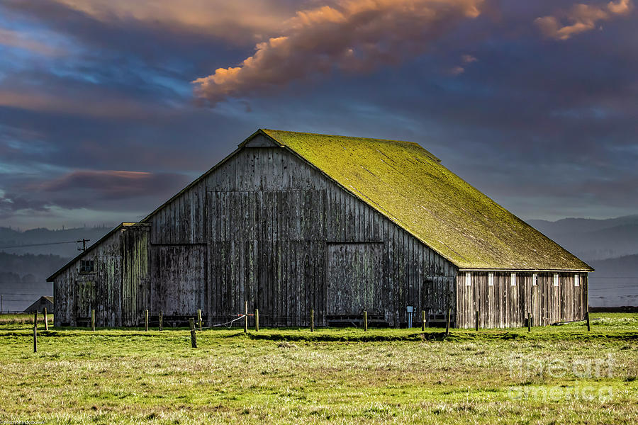 Mossy Barn Photograph by Mitch Shindelbower